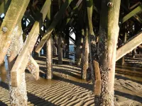 Böhler Butendiek - 5-star vacation apartment under thatch (pet-friendly) Hotels in Sankt Peter-Ording