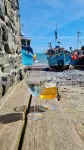 Romantic Vintage Carriage in 2 acres!❤️Idyllic location, 5 min walk beach & pub!