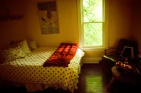 Lakeside Grove Cottage -  Perfect Lakeside Village/Beach Location