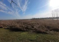 Cozy cottage on Little Bay De Noc minutes away from a public boat launch! Hotels in Brampton Township