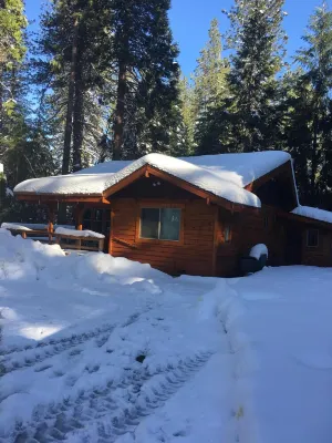 Cozy and comfortable wooded cabin