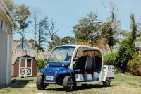 Historic Family Vacation Home with Golf Cart