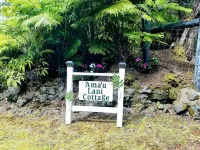 Ama'u Lani Cottage minutes from Volcano Village & Hawaii Volcanoes National Park