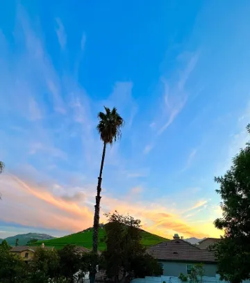 Gated Suite - King Bed, Cozy, Quiet, Kitchen, Pool