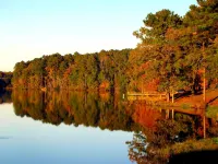 Adorable and bright lake house!  Retro feel all the modern amenities