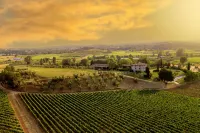 Bellerive Lifestyle Hotel - Scenic