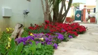 DOMUS GIRASOLI - VACATIONS SEA MOVIDA RELAX - 5 PL 5 MINUTES FROM GALLIPOLI