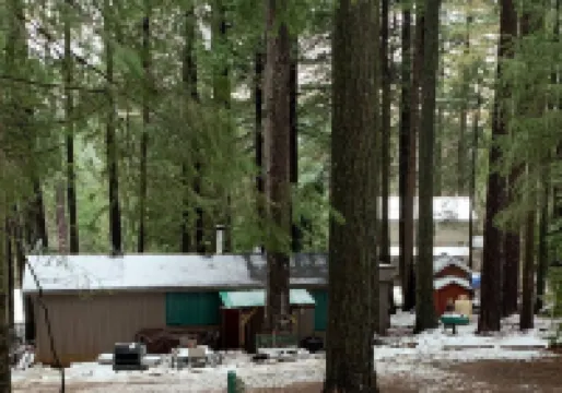 The Little Cabin in the Pines!