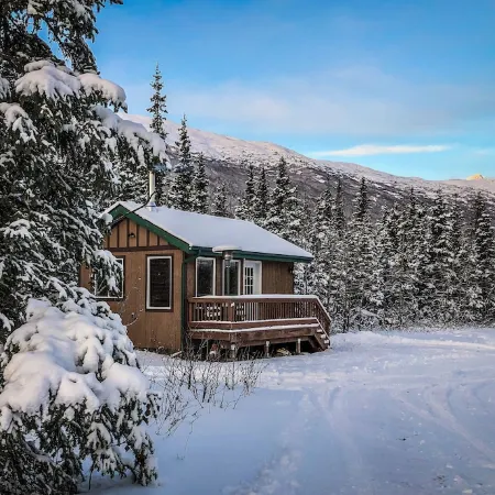 Relax with amazing 360° mountain views in this cozy Alaskan tiny cabin!