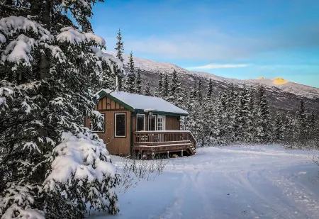 Relax with amazing 360° mountain views in this cozy Alaskan tiny cabin!
