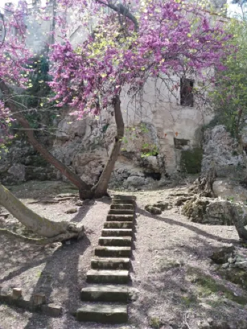 Historic Residence Villa Fontana Private Pool & Botanic Garden