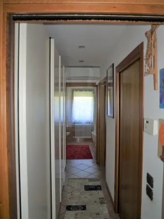 Spacious and bright apartment with garden in central area