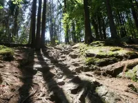 Spacious vacation home in the countryside with wellness and health facilities