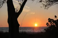 Totally Remodeled Beachfront Studio-Step out your door onto the sand. Really! D