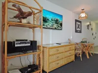The Best Ocean View Studio Condo at the Royal Kahana Oceanfront Resort