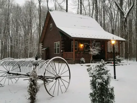 Forever spring cabin