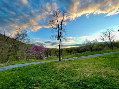 Cedarbank • Cabin in Virginia Wine Country