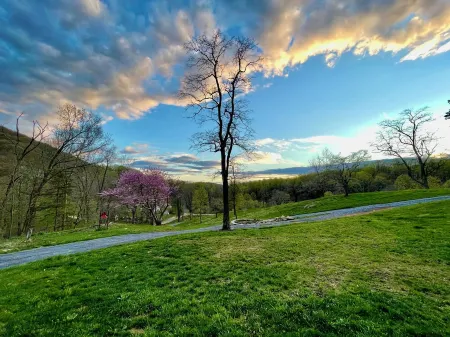 Cedarbank • Cabin in Virginia Wine Country