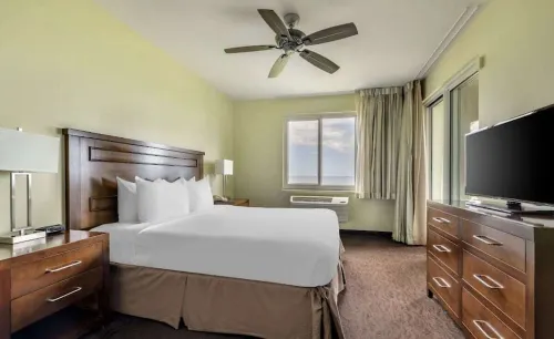 Oceanfront Resort, Cascading Ponds, Daily Fresh Towel Exchanges, Hiking Path - 2성급