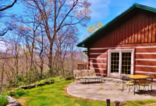 Wi-Fi PRIVATE Cabin in town Black Mountain Montreat FAST to Asheville WOODS