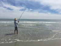 Unique Romantic Beach Style Cottage close to  Folly Beach & historic Charleston!