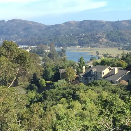 Cozy Studio In The Hills Of Mill Valley.