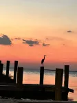 "Point of View" Waterfront cottage with panoramic views on Tilghman Island