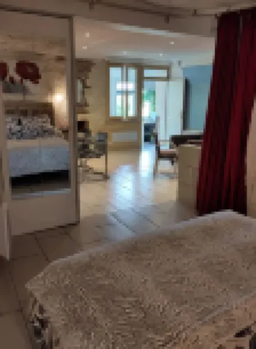 Gite Troglodyte Atypique - Garden Suite, Loire view - near the castles