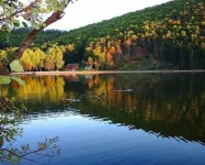 Chalet - MurolHouse with character