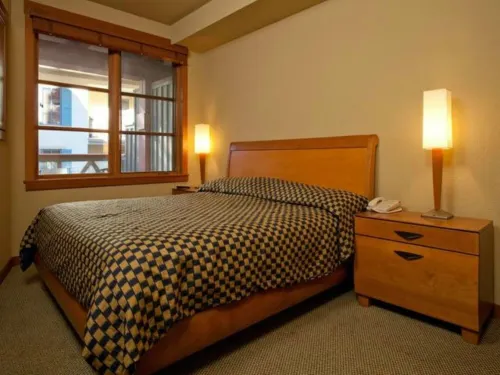 Village at Palisades Ski-in Ski-Out One Bedroom Condo Mt. View Unit -2nd Floor