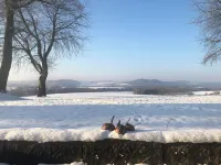 Holiday Home Altendorf Outstanding View of Saxon Switzerland Hotels in Sebnitz