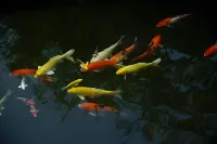 The Secret Garden Maesot Hotels in Mae Sot