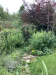 A cosy retreat, ideal for walks and quiet relaxation. Pet friendly!