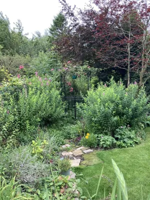 A cosy retreat, ideal for walks and quiet relaxation. Pet friendly! Hotels in Brampton