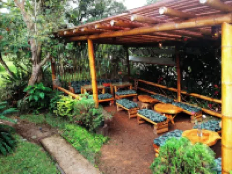 Mindo Casa de Piedra Hoteles en Mindo