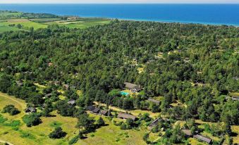 14 Person Holiday Home in Sjaellands Odde