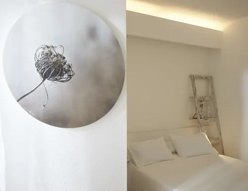 Ferrini Home - Suites - Lejligheder