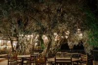 Ciy Restaurant & Konukevi Hotels in Gullubahce Mahallesi