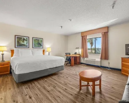 La Quinta Inn & Suites by Wyndham Tampa Brandon West Hotels in Tampa
