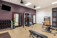 Embassy Suites by Hilton Loveland Conference Center & Spa - Gym