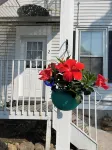 A little bit of Paris in Kennebunk with Hot Tub!