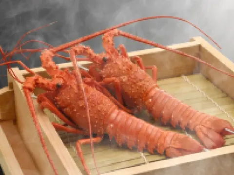 Yumotokan New Hamajima