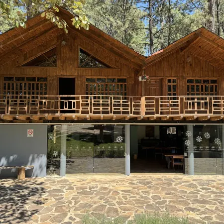 Pine Tree Mazamitla Hotel Boutique & Cabañas