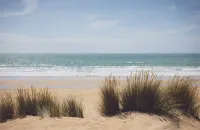 La Côte de Lumière Hotels in La Tranche-sur-Mer