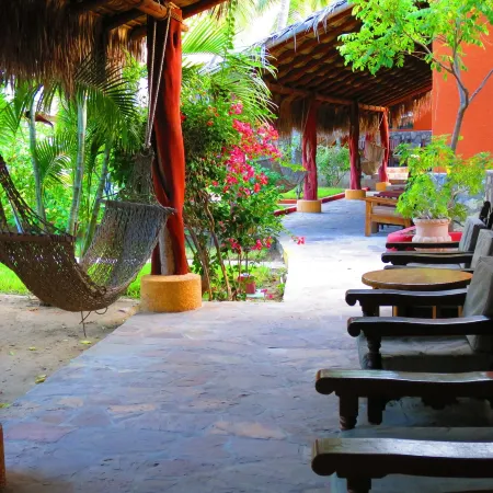 Hotel Palmas de Cortez