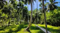 The Aroma Resort Hotels in Havelock Island
