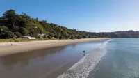 Waiata Beach House - Onetangi -  Holiday Villas