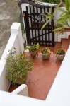 Cretan Magnolia Gem - Smari Cozy Getaway