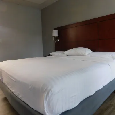 Park View Inn. Hotels near Gateway Gardens
