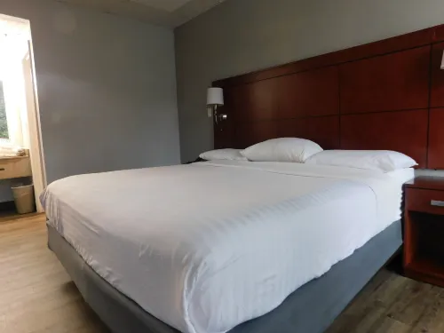 Park View Inn. - Motels